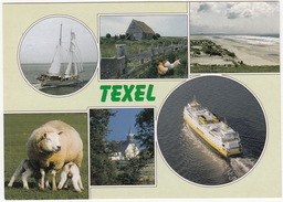 Texel - Multiview - Veerboot/Ferry  - (Nederland/Holland) - Texel