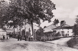 88. DOMPAIRE .LAVIEVILLE. ANNÉES 50. ANIMATION - Dompaire