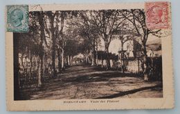 Borgotaro - Viale Dei Platani - 1910 - 23746 E. Wachini Andreis - - Parma