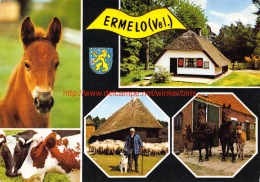 Ermelo - Ermelo