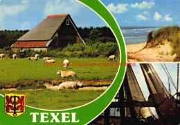 Texel - Texel