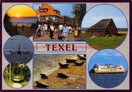 Texel - Texel