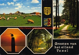 Groeten Van Â… - Texel - Texel