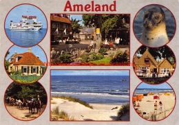 Ameland - Ameland