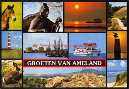 Groeten Van Â… - Ameland - Ameland