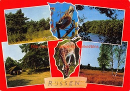 Rijssen - Rijssen