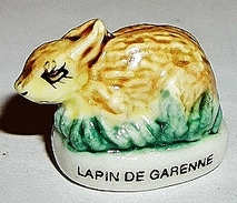 Lapin De Garenne (BJ) - Animaux