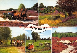 Hellendoorn - Hellendoorn