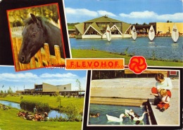 Flevohof - Flevoland - Other & Unclassified