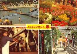 Flevohof - Flevoland - Andere & Zonder Classificatie