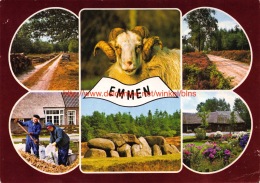 Emmen - Emmen