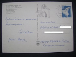 Germany: PC Advertising Postmark TIERGARTEN NÜRNBERG - WEISSNACKENKRANICH - White-naped Crane - Posted 1984 - Grues Et Gruiformes