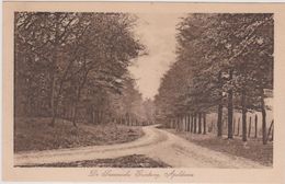 Apeldoorn - De Soerensche Grintweg - Zeer Oud - Apeldoorn