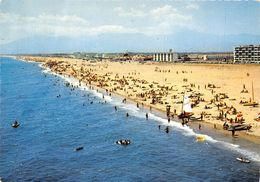 66-SAINT-CYPRIEN-PLAGE- LA PLAGE - Saint Cyprien