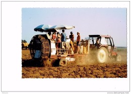 21 - Côte D´Or - SOIRANS - Récolte Pommes De Terre Sécheresse 2003 Animation Tracteur Parasol FERME SORDEL CHAMPDOTRE - Traktoren