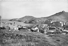 66-COLLIOURE- VUE SUR LA VILLE ET CÔTE VERMEILLE - Collioure