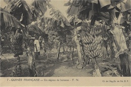 7- Guinée Française - Un Régime De Bananes  - F.N. - Guinée Française