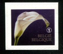 466716071 BELGIE 2013 *** MNH OCB 4368a Rouwzegels - Ongebruikt