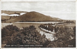 Sugar Loaf Hill & Cheery Garden Avenue - Folkestone - Valentine's Photo Brown Postcard Not Circulated - Folkestone