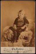 CANADA 1890 LARGE PHOTO " EDY BROTHERS " LONDON ONTARIO  - CHILD From Rich Family ON BEAR SKIN - Old (before 1900)