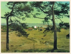 Auf Der Insel Hiddensee (Ostsee). Colorvox Tonpostkarte. - Hiddensee