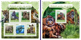 GUINEA BISSAU 2017 ** Gorilla Monkey Affen Singe Endangered Species M/S+S/S - IMPERFORATED - DH1731 - Gorilas