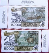 Belarus    1999 Europa - CEPT  2 V MNH - 1999