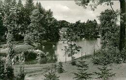 AK Hückeswagen, Stadtpark, Um 1960 (14159) - Other & Unclassified