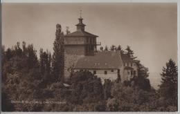 Schloss Sulzberg Bei Goldach - Photoglob - Goldach