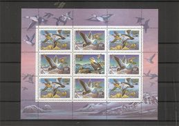 Russie -  Oiseaux   ( 6005/6007 En  Feuillet  XXX -MNH) - Other & Unclassified