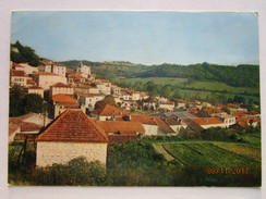 Delcampe - CP 82 MONTAIGU De QUERCY  - Vue Générale  Du Village - Montaigu De Quercy