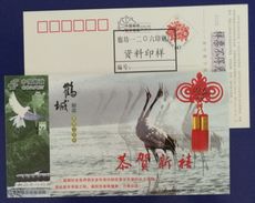 Red Crowned Crane Bird,China 2007 Qiqiha'er New Year Greeting Advertising Pre-stamped Card,specimen Overprinted - Grues Et Gruiformes