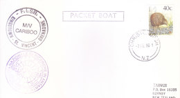NEW ZEALAND ANTARCTIC EXPEDITION COVER, 1990 - SPECIAL CANCELLATIONS, PACKET BOAT MARKING - Cartas & Documentos