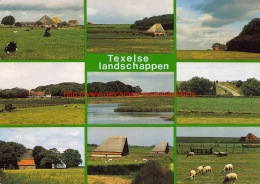 Landschappen - Texel - Texel