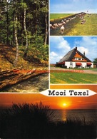 Texel - Texel