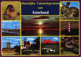 Ameland - Ameland