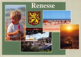 Delcampe - Renesse - Renesse