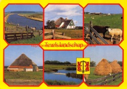 Landschap - Texel - Texel