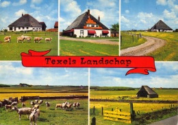 Landschap - Texel - Texel