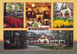 Vakantiehotel Dennenhoeve - Nunspeet - Nunspeet