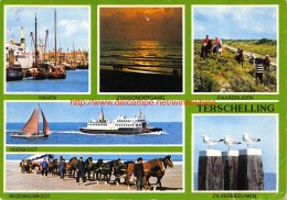 Terschelling - Terschelling