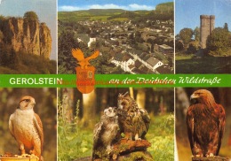 Deutsche Wildstrasse - Gerolstein - Gerolstein