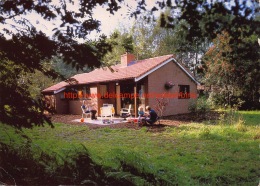 Bungalowpark De Buurserbeek - Haaksbergen - Haaksbergen