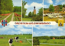 Groeten Uit Â… - Dwingeloo - Dwingeloo