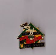 Pin's Baseball 1989 1990 / Oakland - Back To Back - World Champs (époxy Double Attache) - Baseball