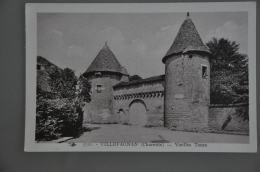 REF 301  : CPA 16 VILLEFAGNAN Vieilles Tours - Villefagnan