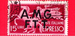 ITALIA - Trieste AMG FTT - Usato - 1947 - Democratica, Soprastampa Su Due Linee - ESPRESSI - Cavallo Trattenuto -15 - Exprespost