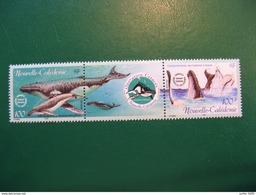 NOUVELLE CALEDONIE YVERT POSTE ORDINAIRE N° 844/845 NEUFS** LUXE  - MNH - FACIALE 1,68 EURO - Unused Stamps