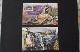 1114. Kanjoni Lazareve Reke, Rtanj 1995. Maximum - Maximum Cards