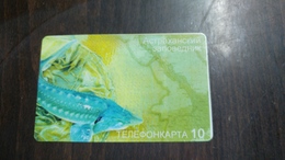 Russia-fish-(10units)-mint Card - Tortues